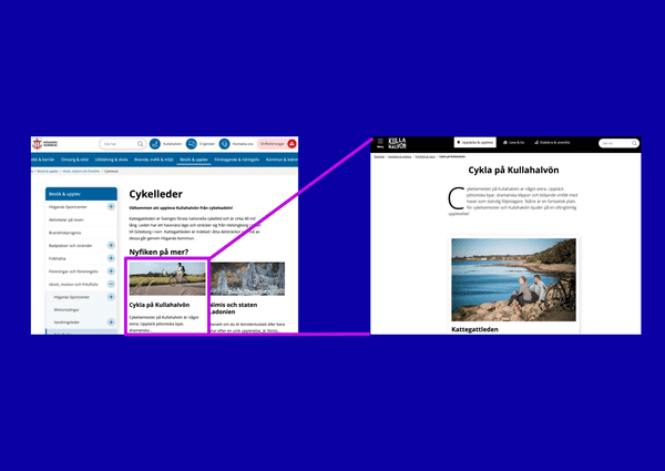 Seamless Cross-Linking Between Your Websites with rek.ai