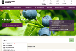 Integration E-service Portal